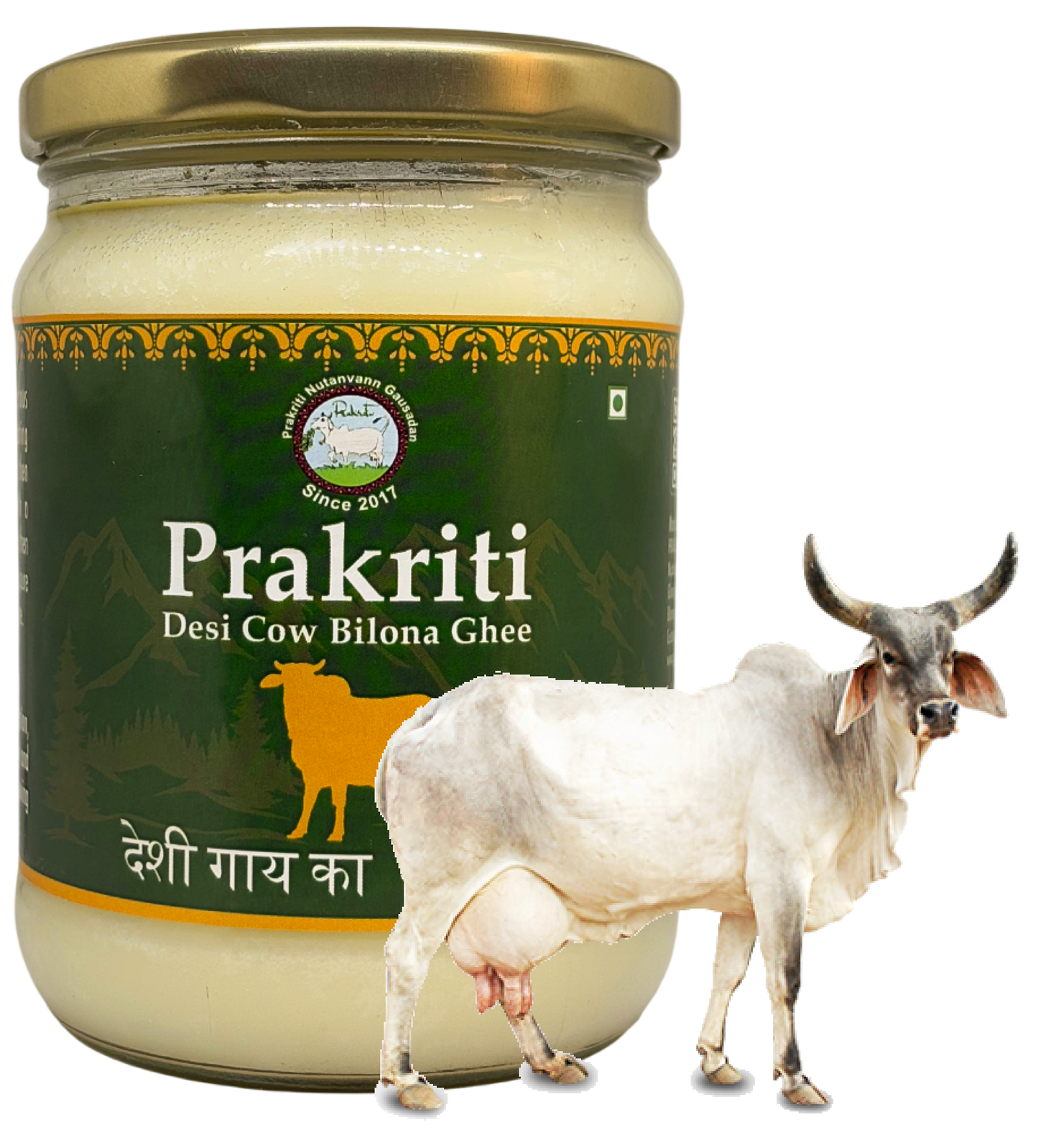 BHADRPAD GHEE- Kanrej cow's bilona ghee
